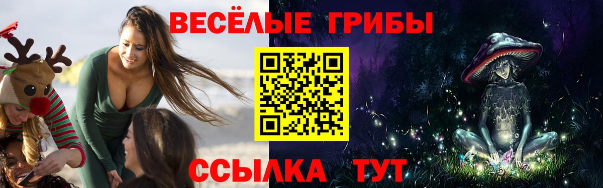 хочу   Галлюциногенные грибы Magic Shrooms  Вход с VPN  Тутаев 